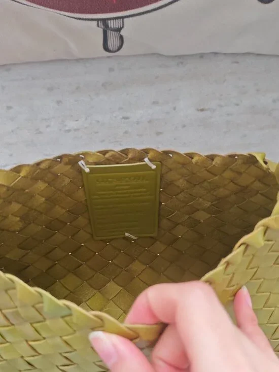 Dragon Diffusion Green Rosanna Bag - Picture 8 of 13